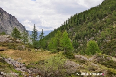 lacsalanfe_170603_-(74)