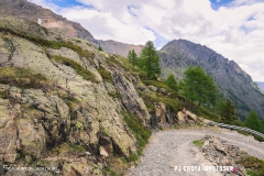 lacsalanfe_170603_-(76)