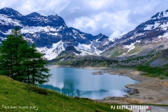 lacsalanfe_170603_-(92)