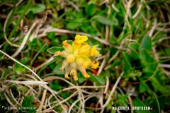 lacsalanfe_170603_-(95)