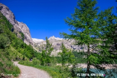 lactseuzier_170617_-(10)