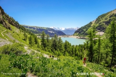 lactseuzier_170617_-(101)