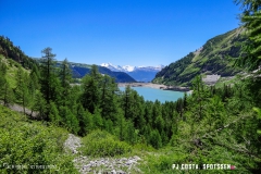 lactseuzier_170617_-(103)
