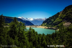 lactseuzier_170617_-(104)