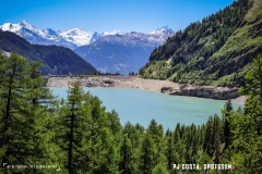 lactseuzier_170617_-(105)
