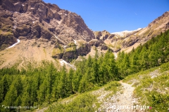 lactseuzier_170617_-(106)