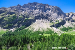 lactseuzier_170617_-(108)