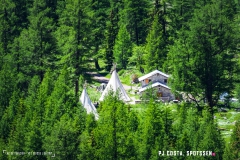 lactseuzier_170617_-(109)