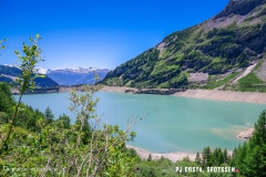 lactseuzier_170617_-(115)