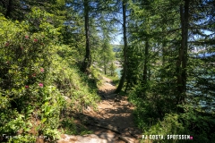 lactseuzier_170617_-(125)