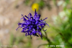 lactseuzier_170617_-(128)