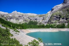 lactseuzier_170617_-(13)