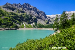 lactseuzier_170617_-(132)