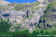 lactseuzier_170617_-(14)
