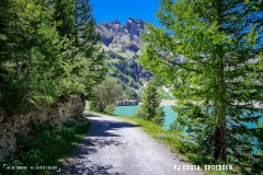 lactseuzier_170617_-(140)