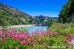 lactseuzier_170617_-(15)