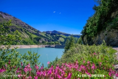 lactseuzier_170617_-(16)