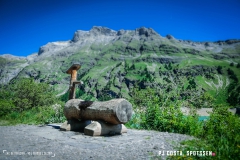 lactseuzier_170617_-(2)