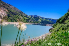 lactseuzier_170617_-(20)