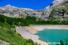 lactseuzier_170617_-(25)