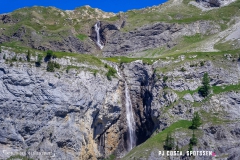 lactseuzier_170617_-(27)