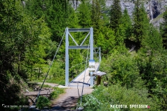 lactseuzier_170617_-(29)