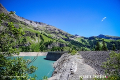 lactseuzier_170617_-(3)