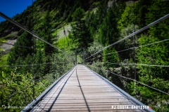 lactseuzier_170617_-(30)