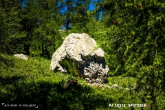 lactseuzier_170617_-(44)
