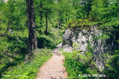 lactseuzier_170617_-(47)