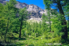 lactseuzier_170617_-(48)