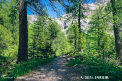 lactseuzier_170617_-(49)