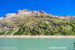 lactseuzier_170617_-(5)