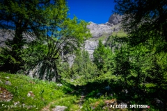 lactseuzier_170617_-(51)