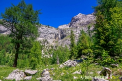 lactseuzier_170617_-(54)