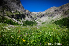 lactseuzier_170617_-(55)
