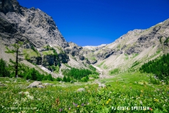 lactseuzier_170617_-(56)