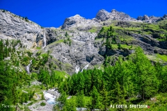 lactseuzier_170617_-(58)