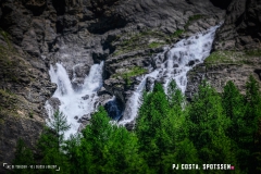 lactseuzier_170617_-(59)