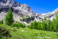 lactseuzier_170617_-(61)