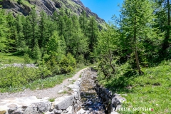 lactseuzier_170617_-(63)