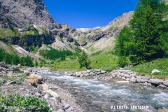 lactseuzier_170617_-(64)