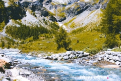 lactseuzier_170617_-(65)