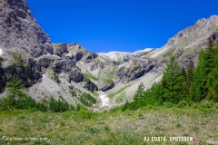 lactseuzier_170617_-(66)