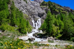 lactseuzier_170617_-(67)