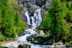 lactseuzier_170617_-(68)