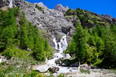 lactseuzier_170617_-(69)