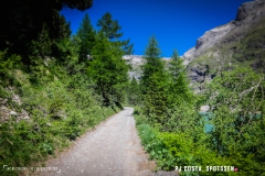 lactseuzier_170617_-(7)