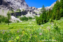 lactseuzier_170617_-(71)