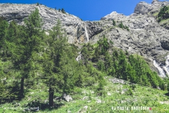lactseuzier_170617_-(72)